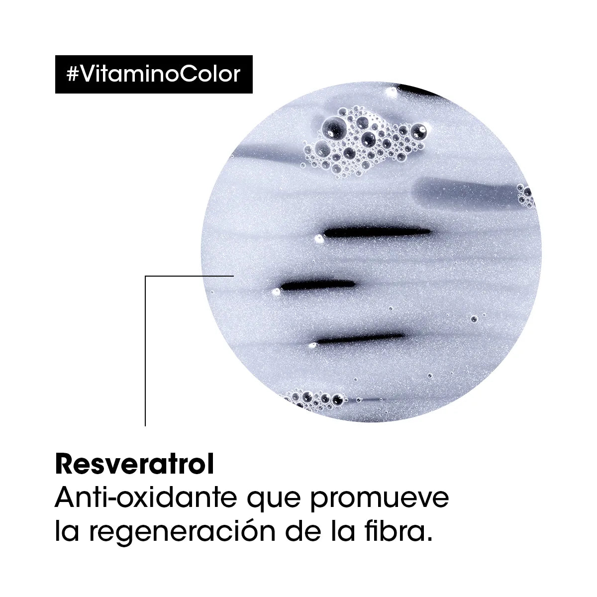 Loreal Shampoo Para Cabello Con color Vitamino color 300ml
